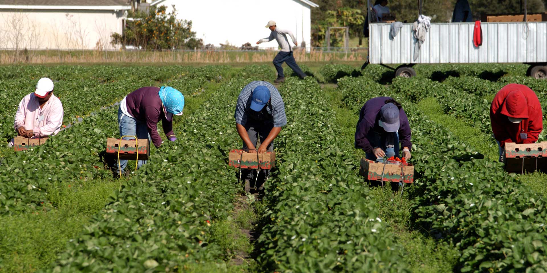 Featured image for “US Interventionism, Climate Change and Organizing Low-Wage Food Chain Workers: An Interview with Jose Oliva”