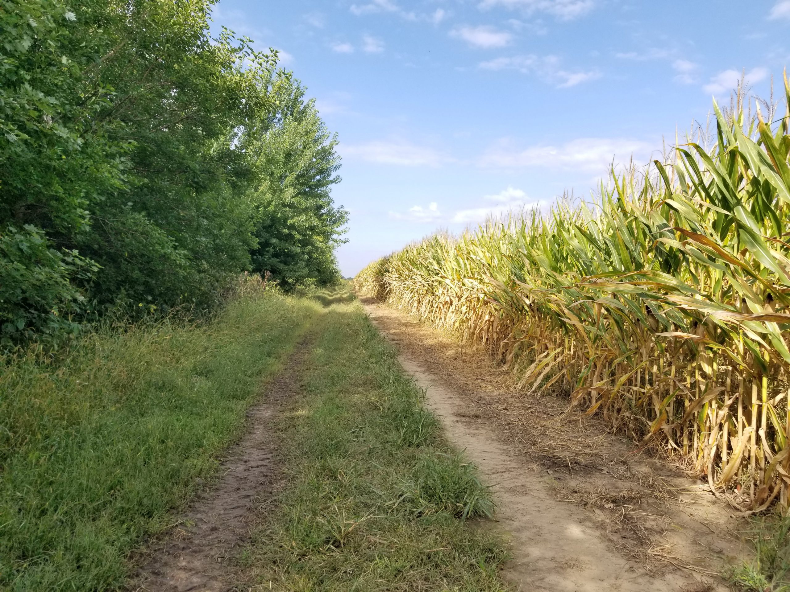 Featured image for “Parity: Re-Establishing the Human Relationship with Nature Through Community-Based Family-Scale Farms”