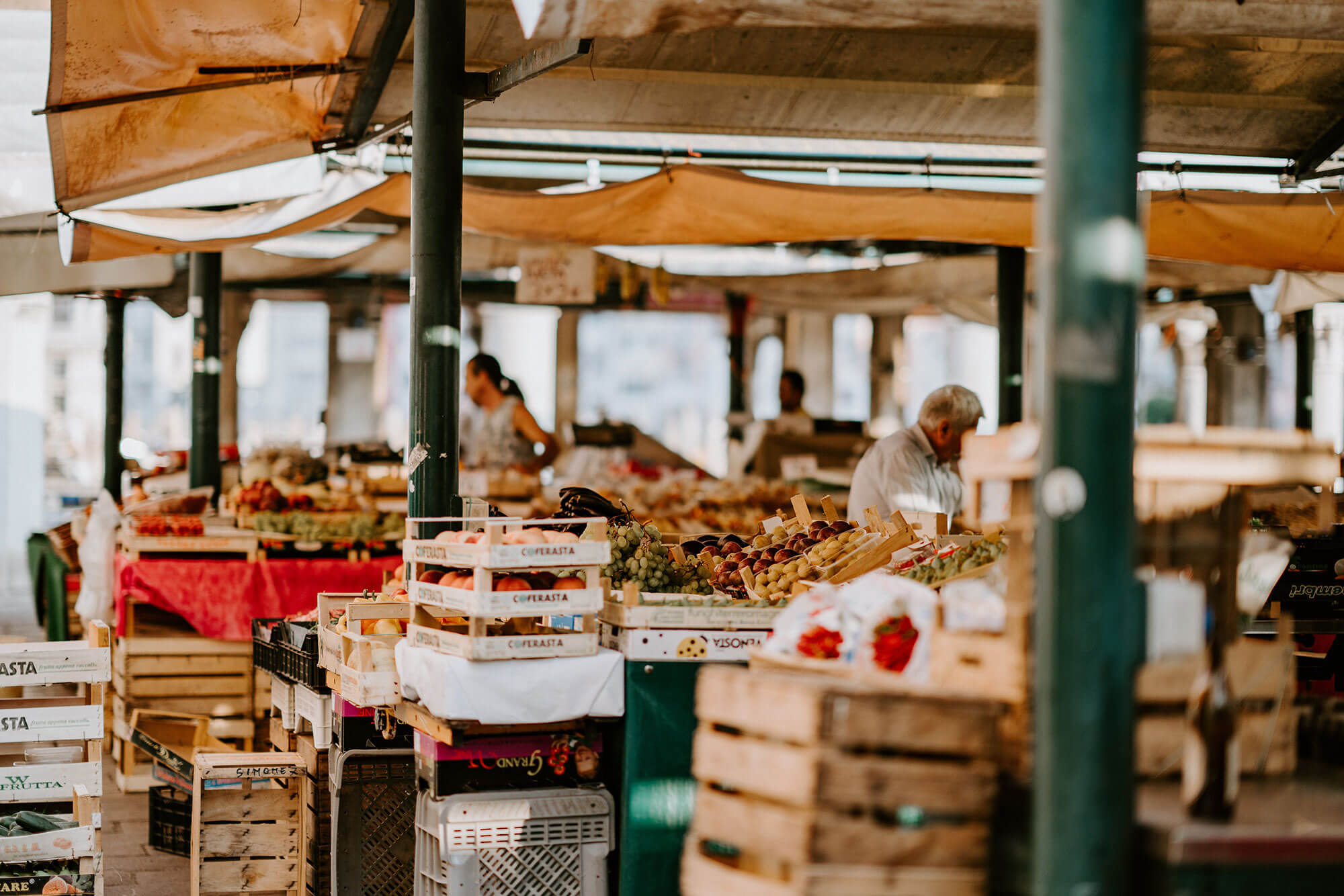 Featured image for “A Farmer Controlled, Consumer Oriented Food System”